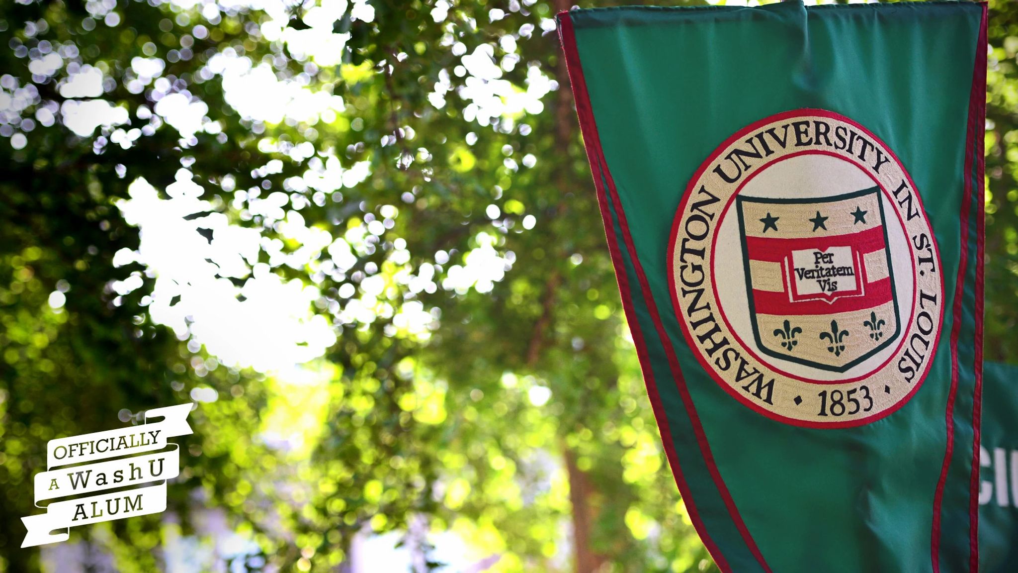 Washington University in St. Louis green flag featuring the university's official seal prominently displayed.