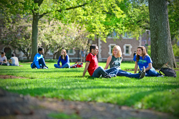 groups of students sit in the grass under tall trees